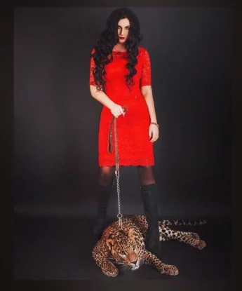 Света